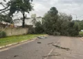 Tras la tormenta, la Municipalidad interviene en distintos sectores de la ciudad