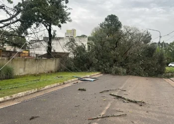 Tras la tormenta, la Municipalidad interviene en distintos sectores de la ciudad
