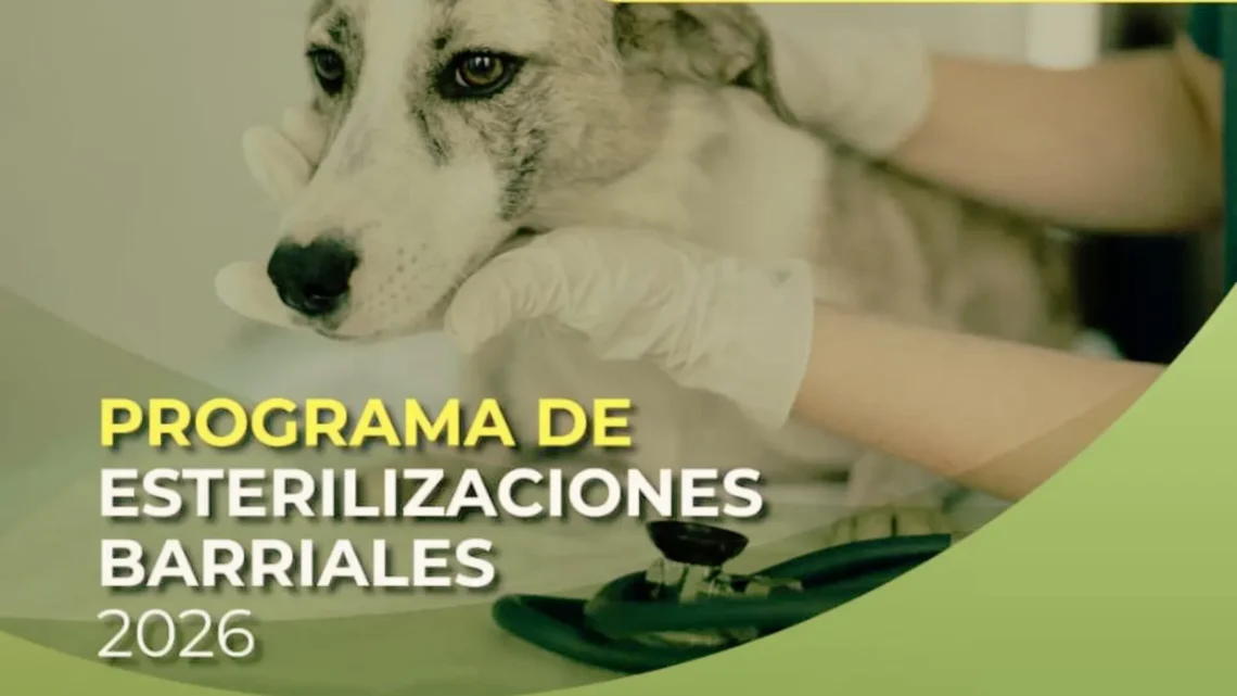 Programa de esterilizaciones gratuitas en el Barrio Los Pájaros