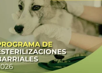 Programa de esterilizaciones gratuitas en el Barrio Los Pájaros
