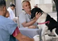 El programa de esterilizaciones atenderá en el barrio Lavardén