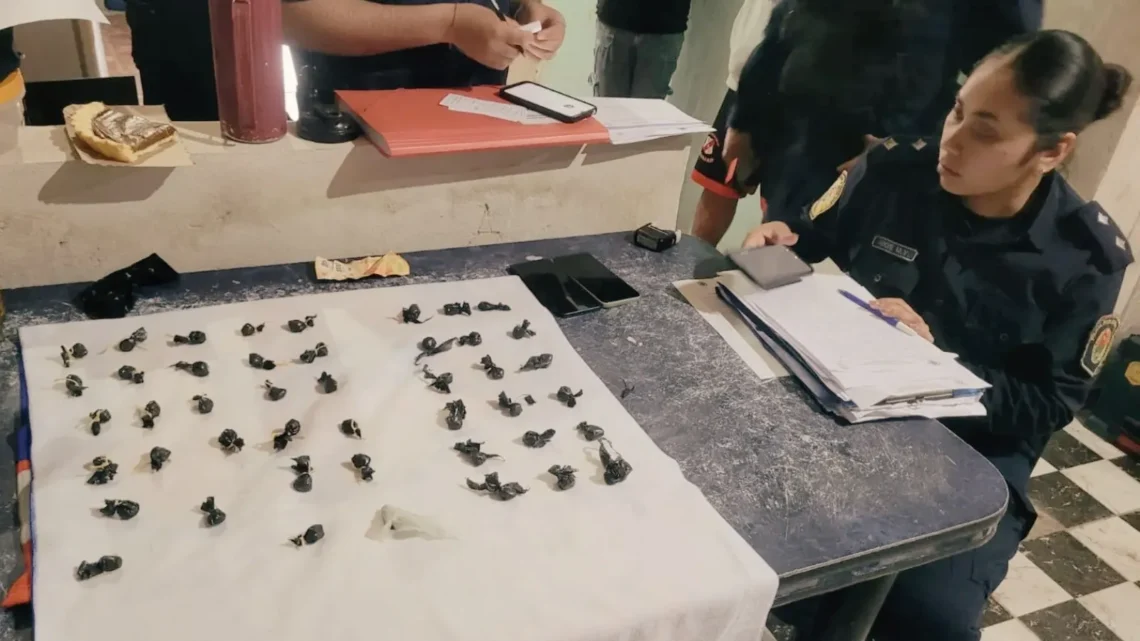 Importante despliegue policial: Siete detenidos, más de 100 envoltorios de estupefacientes y dinero secuestrado en Concordia