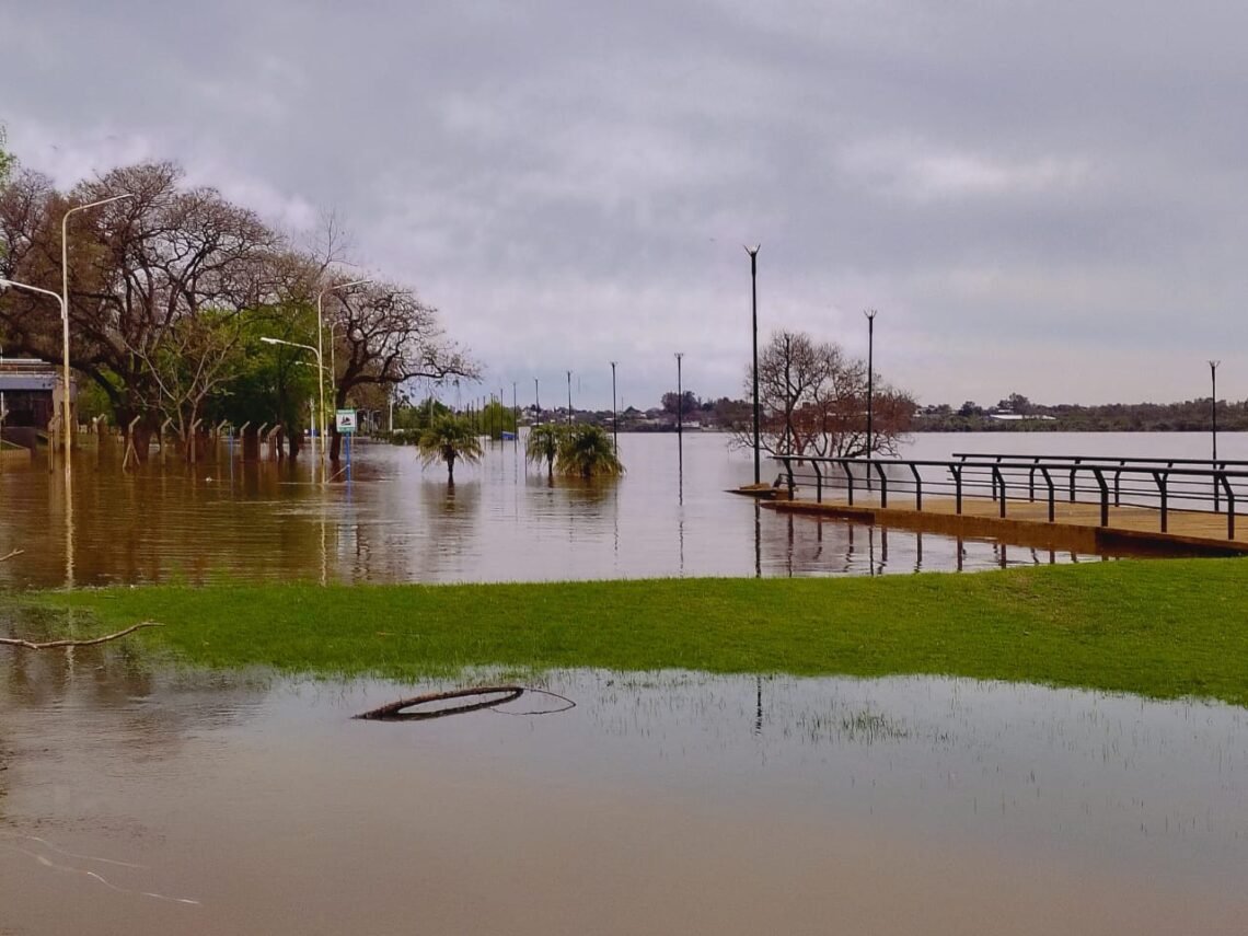 Altura del río uruguay frente al puerto de Concordia