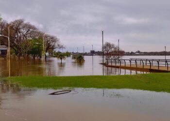 Altura del río uruguay frente al puerto de Concordia