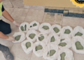 El Gobierno de Entre Ríos secuestró más de 38.000 pastillas de psicofármacos en un operativo