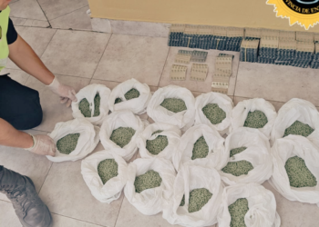 El Gobierno de Entre Ríos secuestró más de 38.000 pastillas de psicofármacos en un operativo
