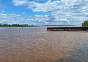 Evacuaciones preventivas y altura del río uruguay frente al puerto de Concordia