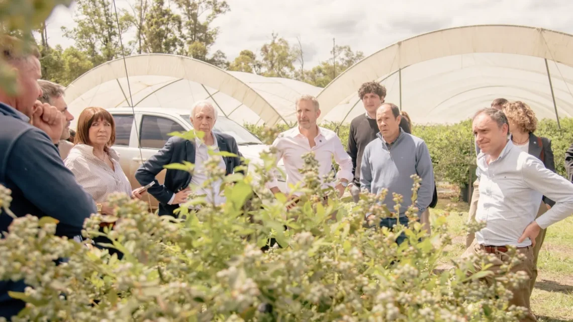 El gobernador recorrió una empresa exportadora de arándanos, cítricos dulces y frambuesas en Colonia Ayuí