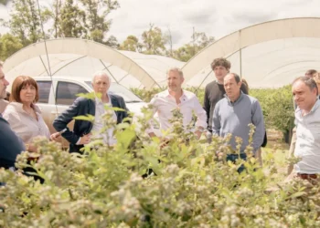 El gobernador recorrió una empresa exportadora de arándanos, cítricos dulces y frambuesas en Colonia Ayuí