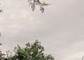 Se emitió alerta amarilla para el jueves por tormentas para todo el territorio entrerriano